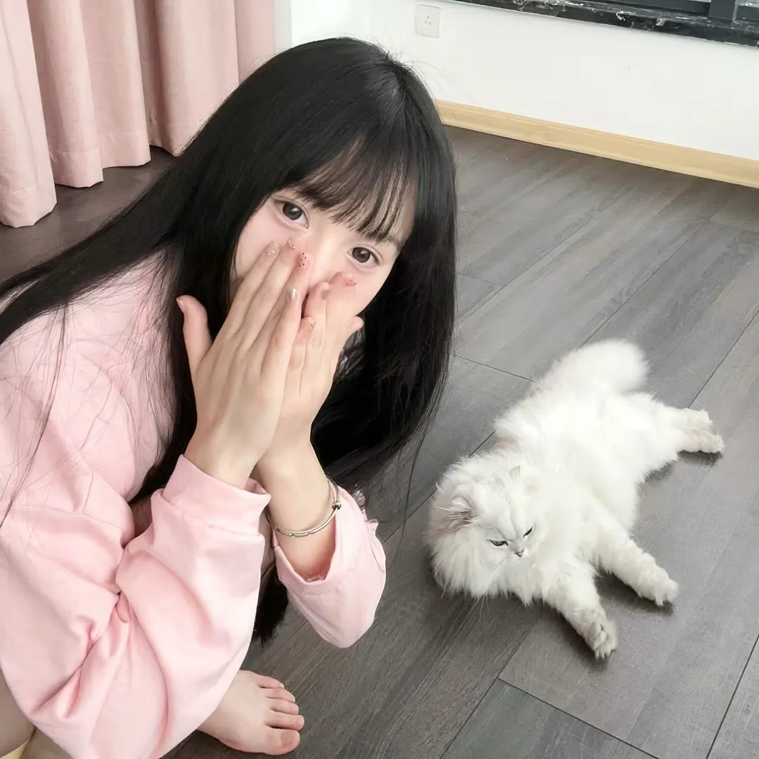 唐加美路主教 在线观看